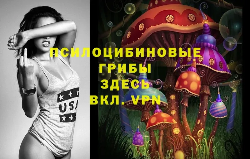 Галлюциногенные грибы Psilocybe  наркота  блэк спрут ТОР  Зверево 